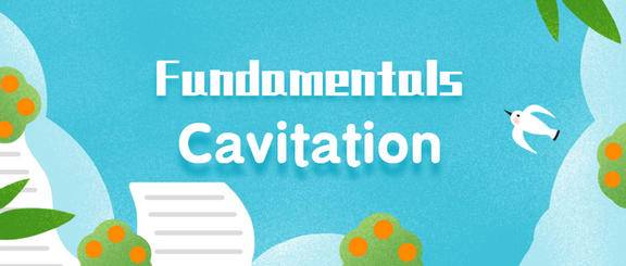 Fundamentals of Cavitation英文原版PDF