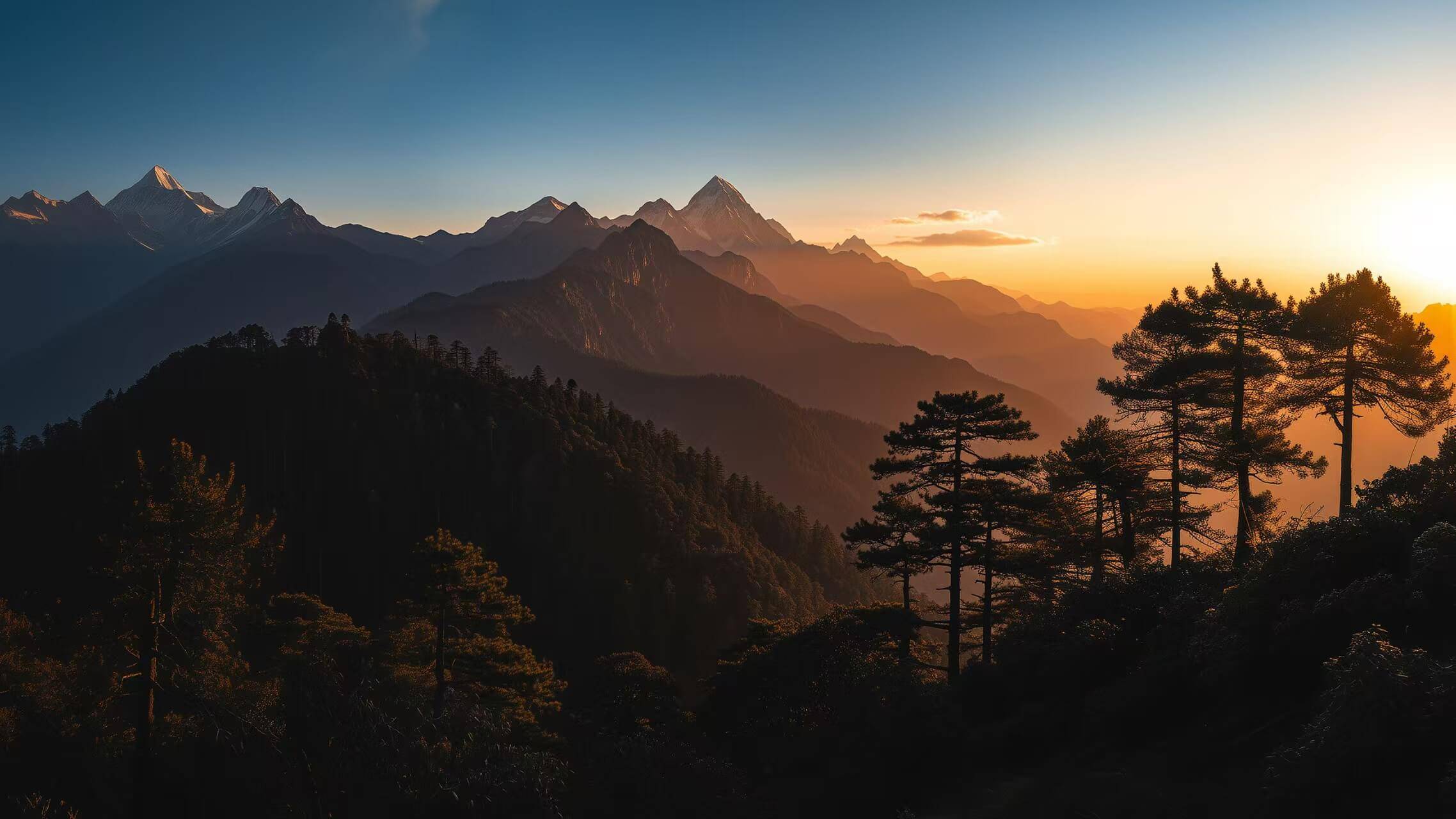 《水泵站流场CFD模拟分析研究与应用》书籍推荐